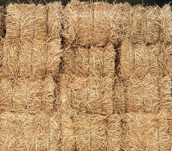 Bedding Supplies Bedding Supplies