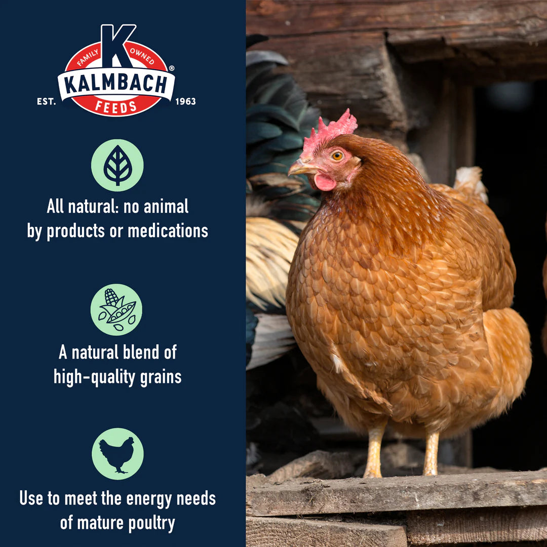 All Natural 5-Grain Premium Scratch Grain for Chickens