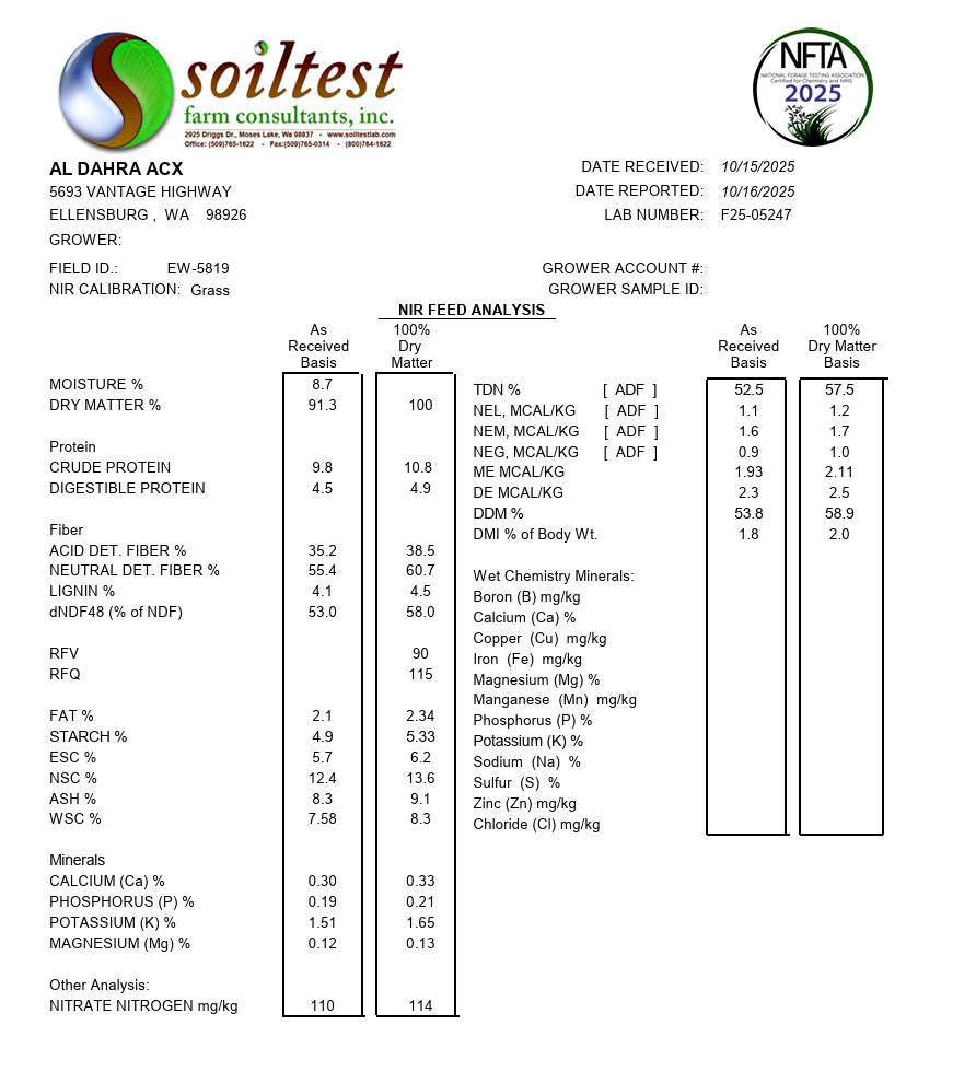Timothy Hay (Premium)