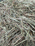 Timothy Hay (Premium)