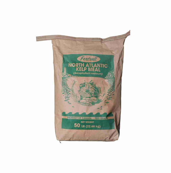 Fertrell North Atlantic Kelp Meal Fertrell North Atlantic Kelp Meal