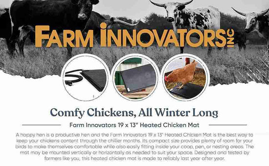 Heated Chicken Mat Heated Chicken Mat