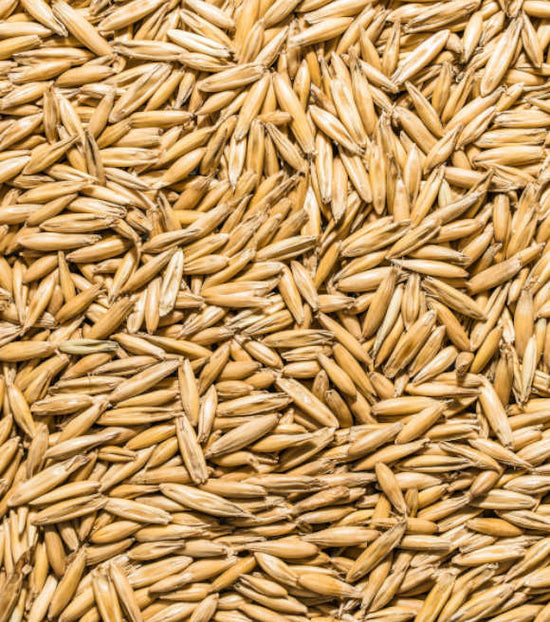 Whole Cleaned Oats Whole Cleaned Oats