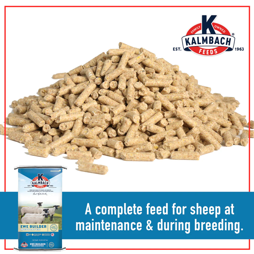 16% Ewe Builder