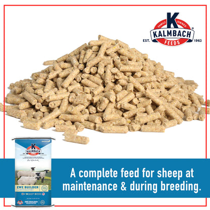 16% Ewe Builder