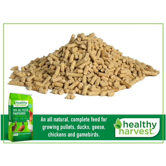Healthy Harvest 16% All Natural Flock Maintainer Pellets 40 lb