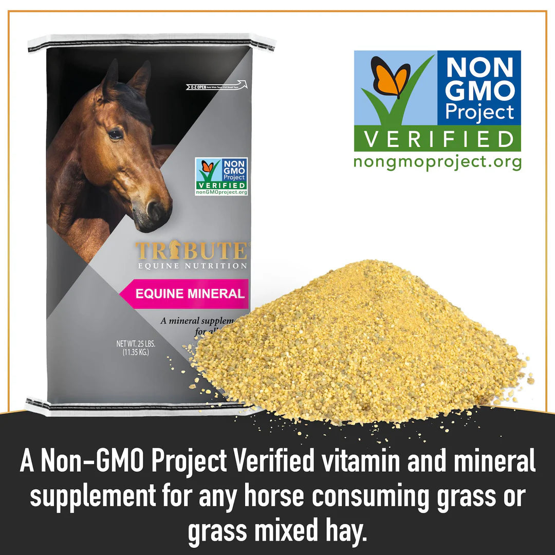 Equine 12-8 Mineral