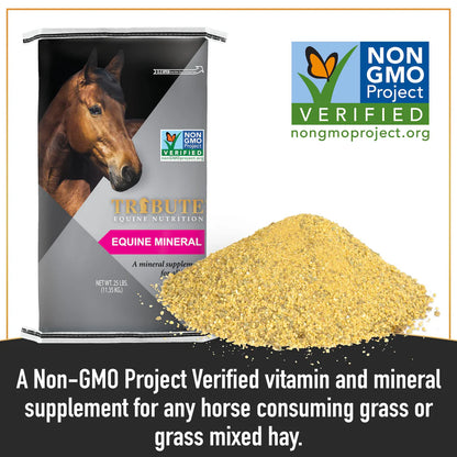 Equine 12-8 Mineral
