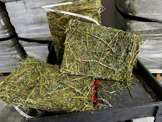 Alfalfa Hay