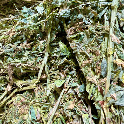 Alfalfa Hay