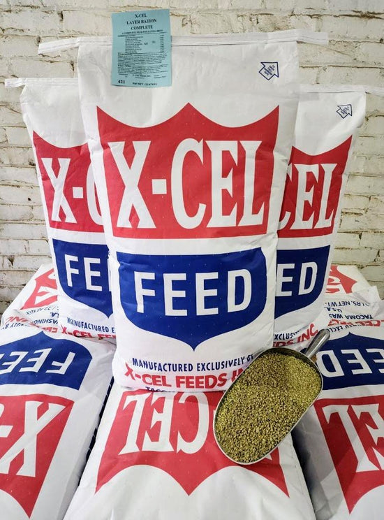 16% Layer Pellets- Hen Ration