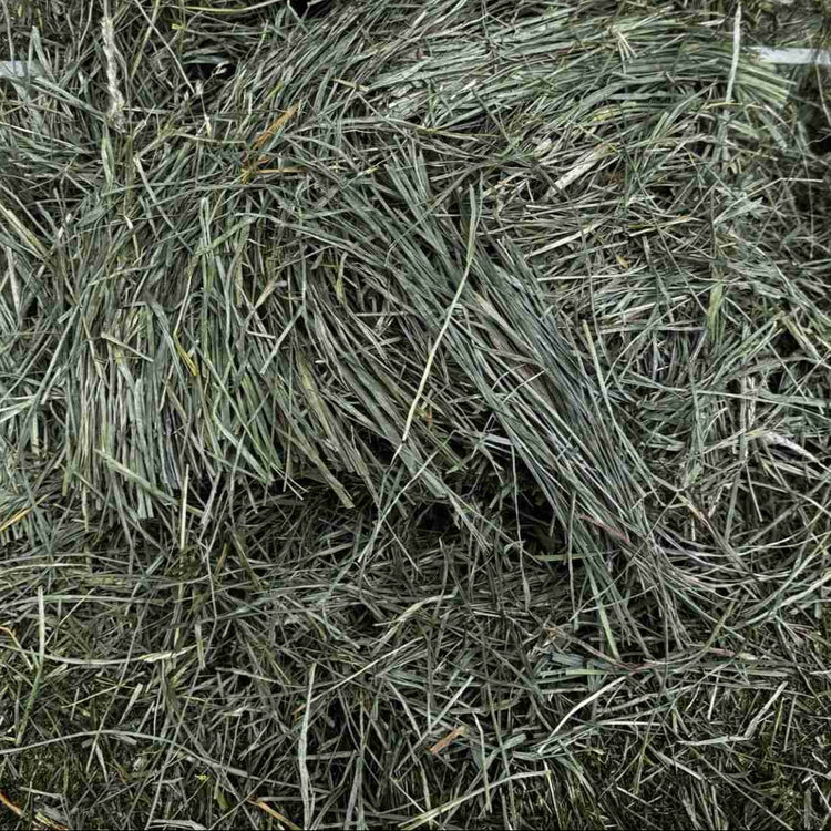 Alaska Hay & Feed Supply