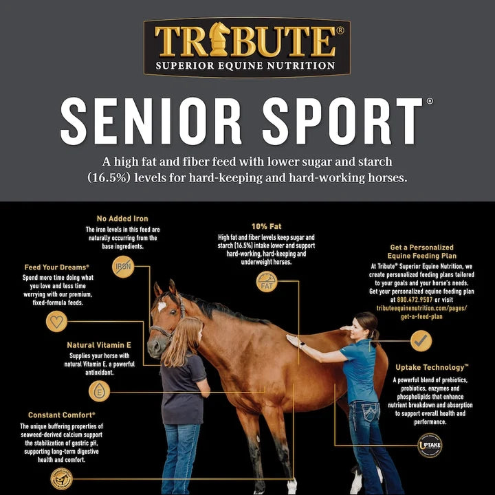 Tribute Senior Sport