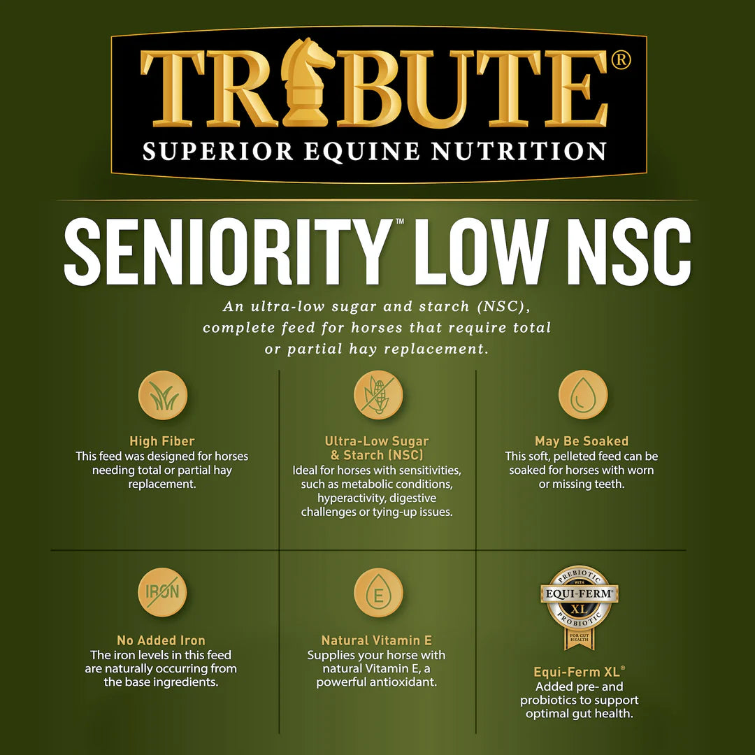 Seniority LOW NSC