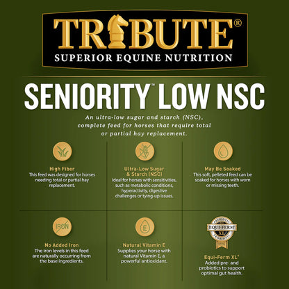 Seniority LOW NSC