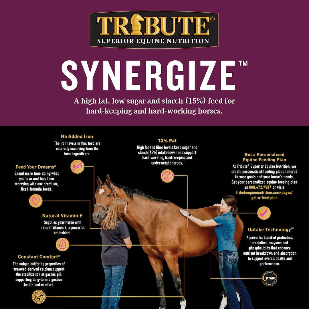 Synergize®