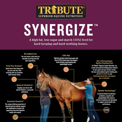 Synergize®