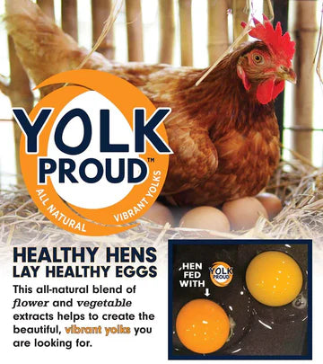 Premium Poultry Block