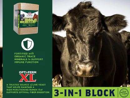 3-In-1 Supplement Block