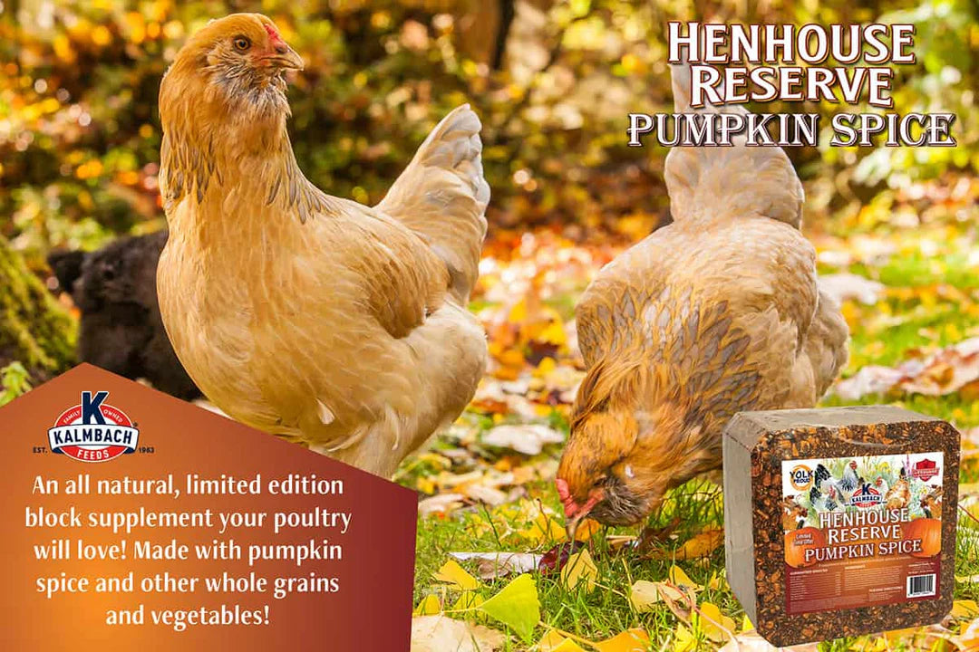 Pumpkin Spice Henhouse Reserve® Block