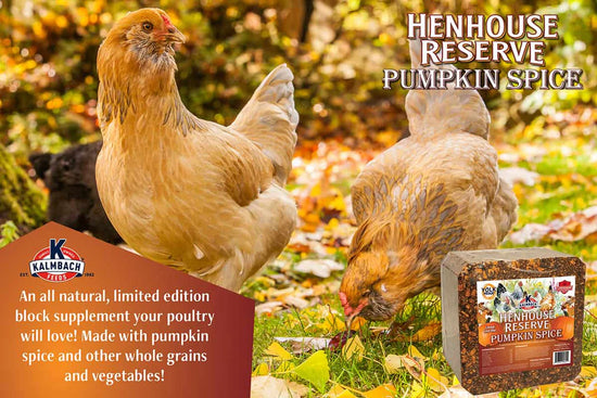 Pumpkin Spice Henhouse Reserve® Block