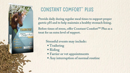 Constant Comfort Plus