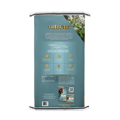 Constant Comfort Plus